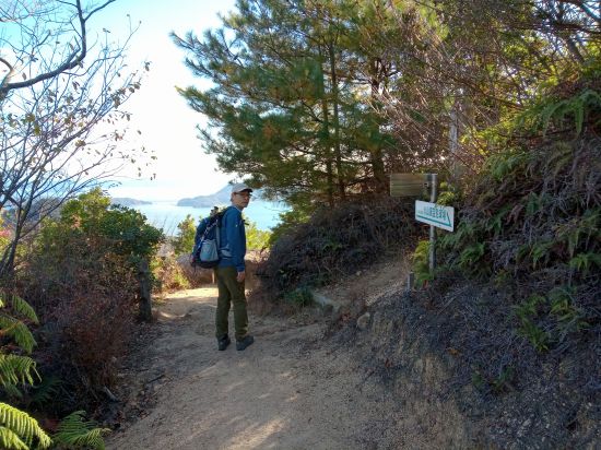 直登江木ルート分岐