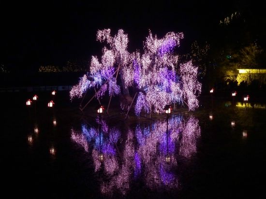 イルミネーション