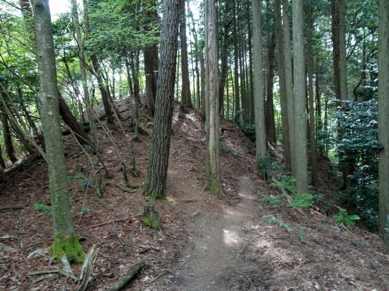 ショートカット