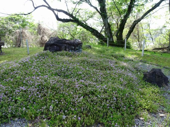 モントリオールミニチュアガーデン