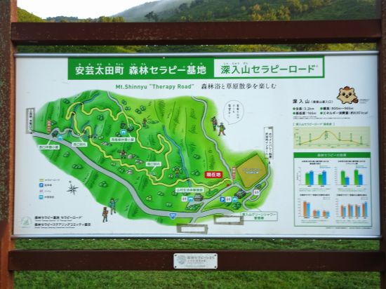 セラピーロード