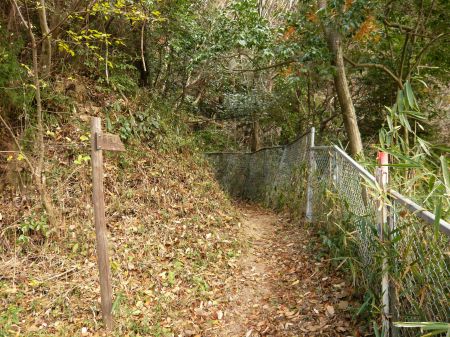 大倉屋敷跡経由