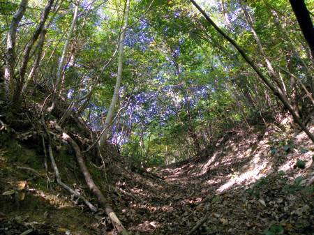 背後を切断 大堀切