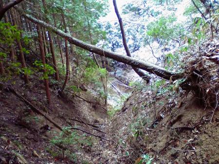 深く鋭角な堀切