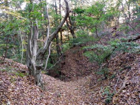 弓形＋Ｙ字の堀切