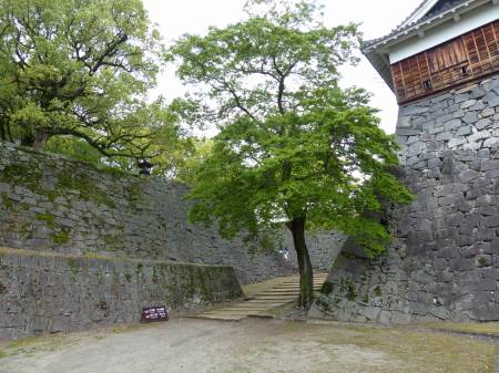 熊本城跡