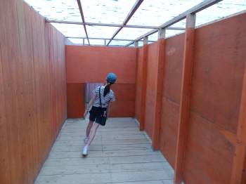 ドラゴンメイズ