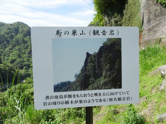 鳶の巣山
