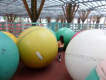 エア・フォレスト