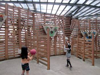 ゴール・ラッシュ