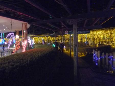 イルミネーション