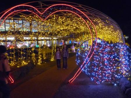 イルミネーション