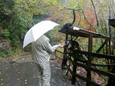 長崎バイオパーク