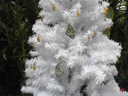 長崎バイオパーク