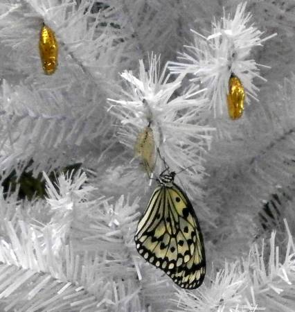 長崎バイオパーク