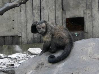 長崎バイオパーク