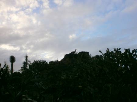 長崎バイオパーク