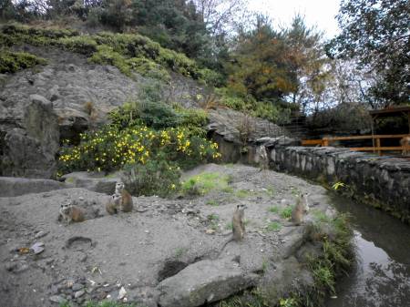 長崎バイオパーク