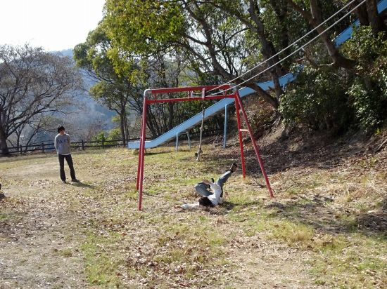 ターザンロープ